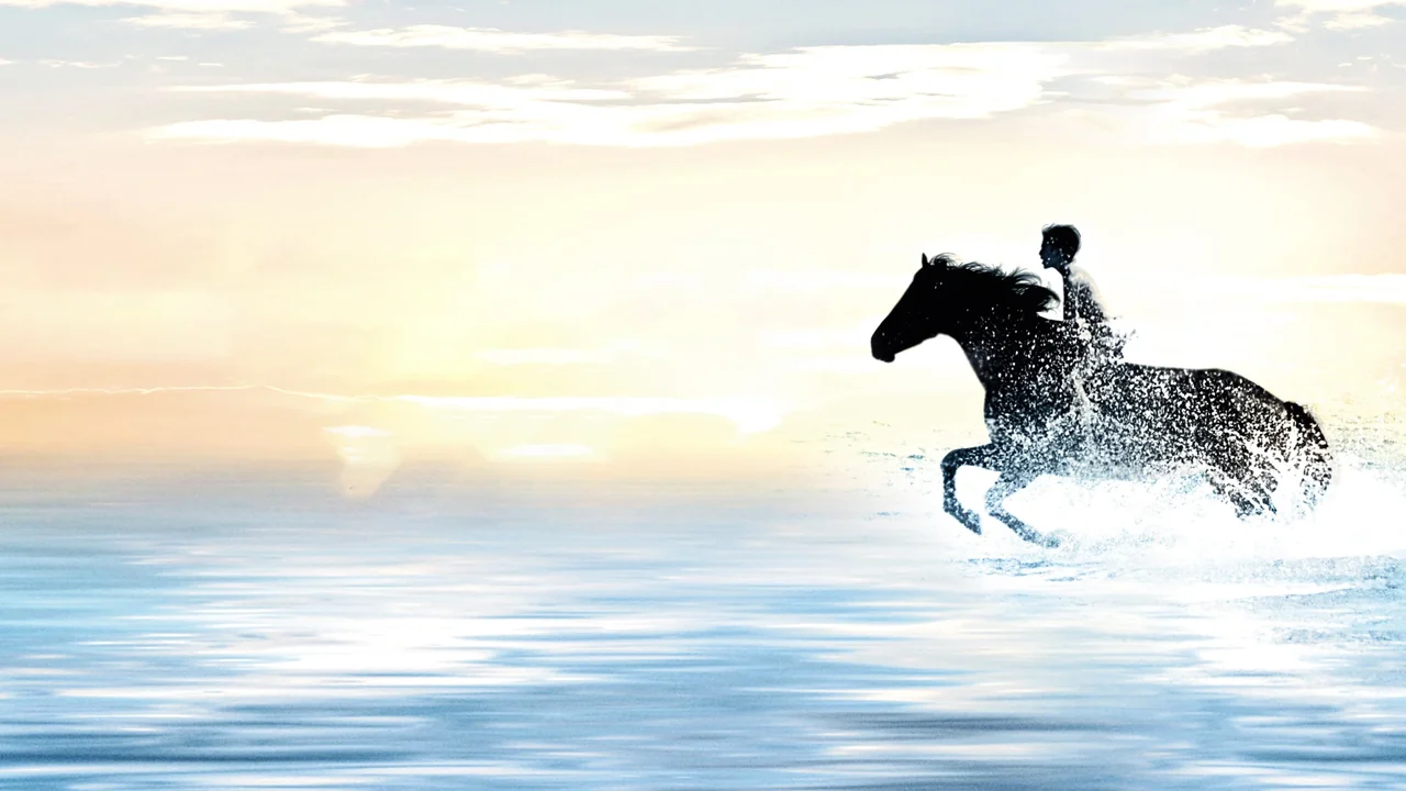 Фильм Черный скакун (1979)