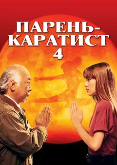 Парень-каратист 4